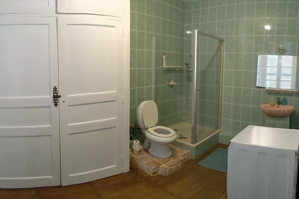Seven-Bedroom House in Saint-Savin, Vienne (France)
