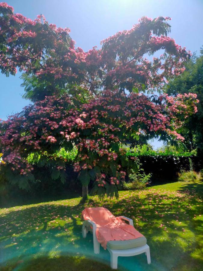 Chambre d’hôte pour 2 personnes, avec vue et jardin, animaux acceptés