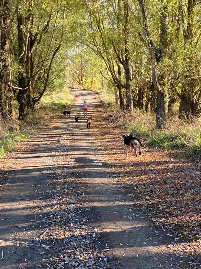 Feriehus for 6 personer, med hage og utsikt i New Zealand