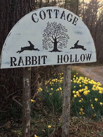 Vacation House for 6 Guests in Blue Ridge Mountains, North Carolina, Picture 1