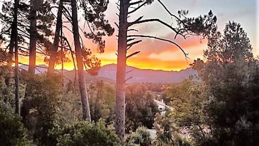 Gîte pour 5 personnes, avec terrasse à Levie - 2