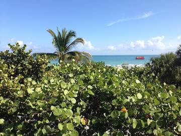 Loft for 4 Guests in South Beach, Miami Beach, Picture 4