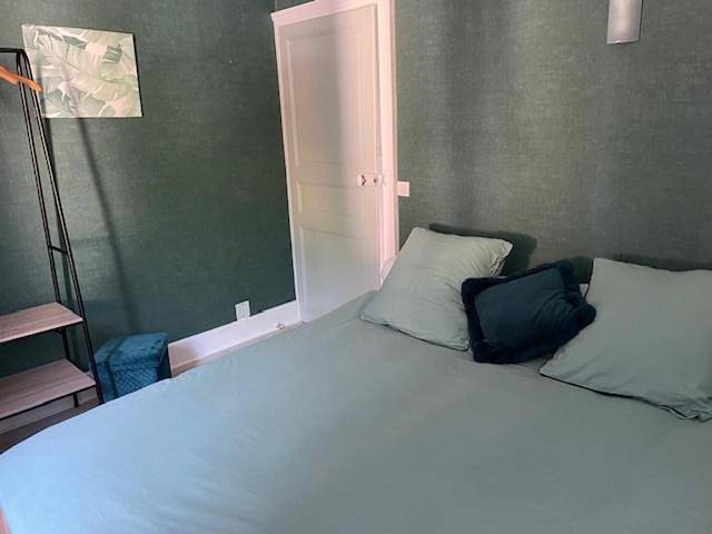 Four-Bedroom House in Saint-Pierre-de-Maillé, Vienne (France)