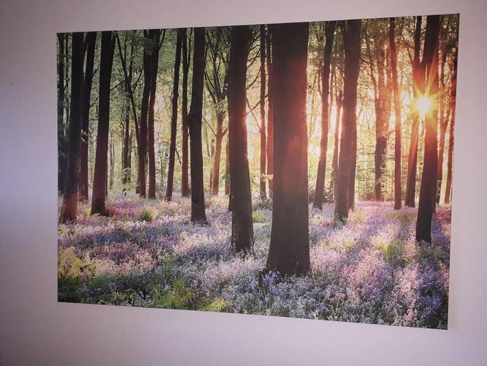 Ferienwohnung für 4 Personen, mit Ausblick und Garten in Serengeti Park (Hodenhagen) - 2