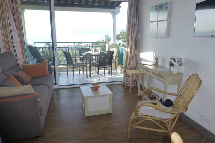 Appartement entier, Vue sur la mer et belle piscine in Cannes, Côte méditerranéenne (France)