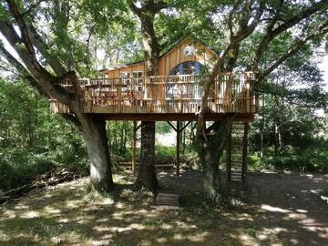 Cabane dans les arbres pour 5 personnes, avec jardin et piscine dans les Deux-Sèvres