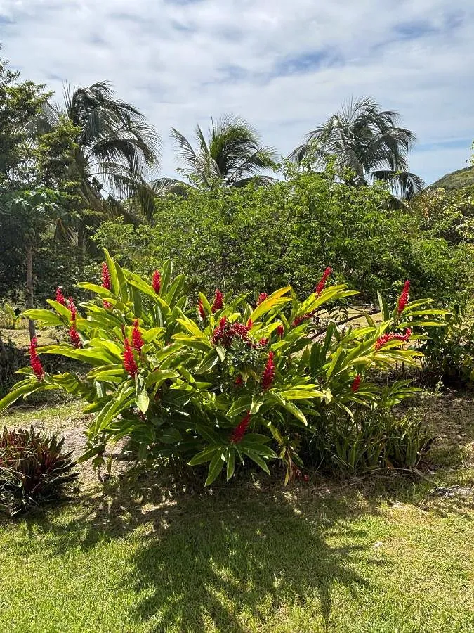 Casa de vacaciones para 2 personas, con jardín además de terraza y vistas - 1
