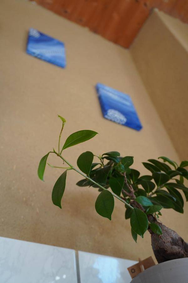 Ferienwohnung für 4 Personen, mit Garten in Struppen - 4