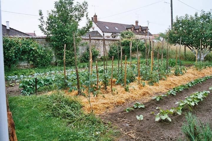 Chambre d’hôte pour 5 personnes, avec Terrasse ainsi que Jardin et Vue dans Sologne - 3