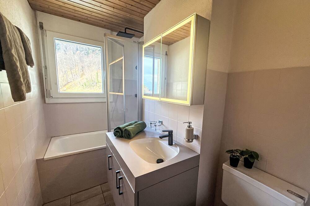 Ganze Wohnung, Platten in Gersau, Vierwaldstättersee