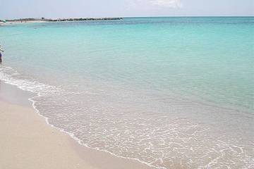 Ferienwohnung für 4 Personen, mit Garten, mit Haustier in Torre San Giovanni