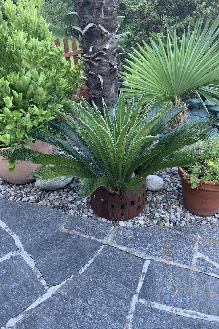 Ferienhaus für 4 Personen, mit Terrasse, mit Haustier im Ticino - 3