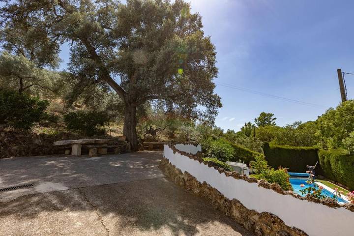 Casa rural para 8 personas, con piscina además de jardín y vistas, Se admiten mascotas en Rute - 3