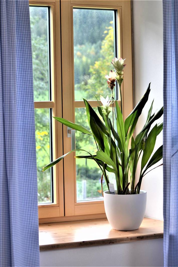 Ferienhaus für 10 Personen, mit Garten in Wiener Alpen in Niederösterreich - 3