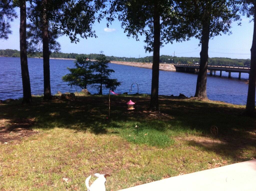 Fischertraum auf Six Mile Bayou in Toledo Bend Reservoir