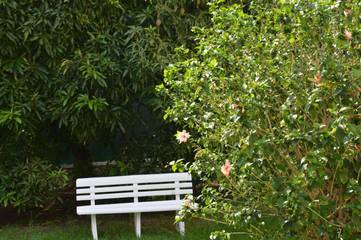 Gîte pour 2 personnes, avec jardin et terrasse dans Grande Anse d'Arlet