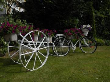 Dom dla 14 osoby w Powiat gryficki, Zdjęcie 2