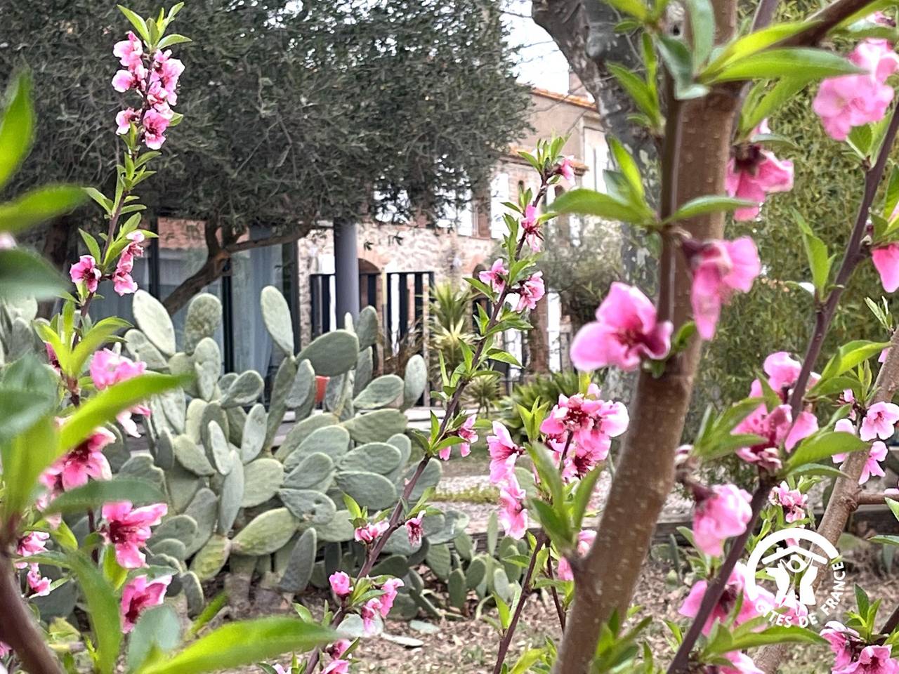 Couleur D'Ete in La Côte Vermeille, Palau-del-Vidre