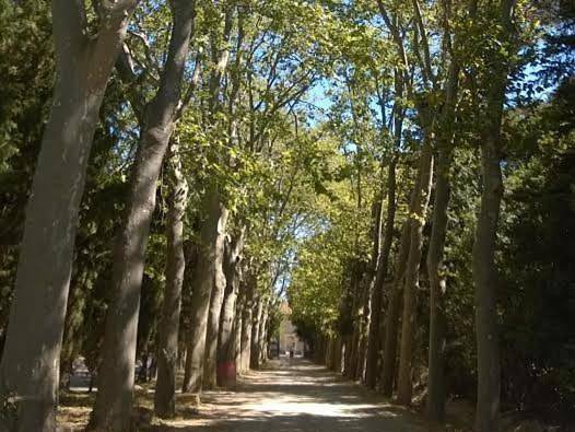 Gîte pour 2 personnes, avec piscine ainsi que terrasse et jardin à Salles-d'Aude - 2
