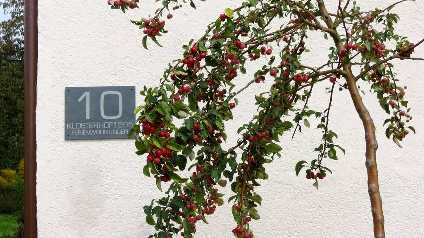 Ferienwohnung für 4 Personen, mit Garten und Seeblick am Bodensee - 3