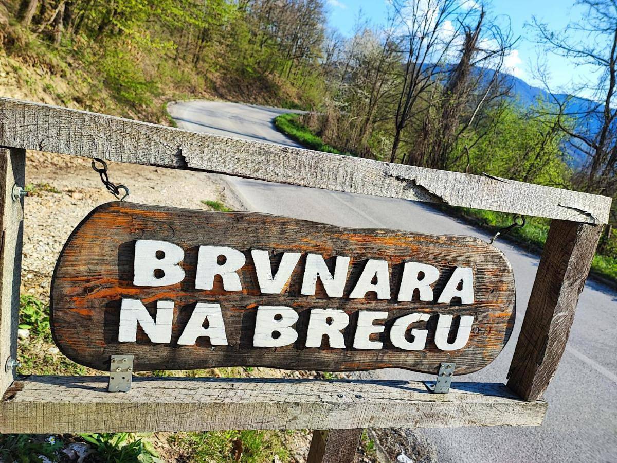 Brvnara na bregu in Bajina Bašta, Serbia Centralna