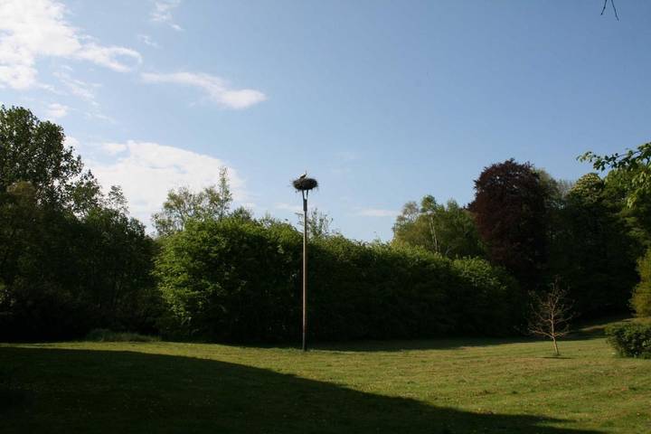 Ferienwohnung für 4 Personen, mit Garten in Bad Sülze - 3