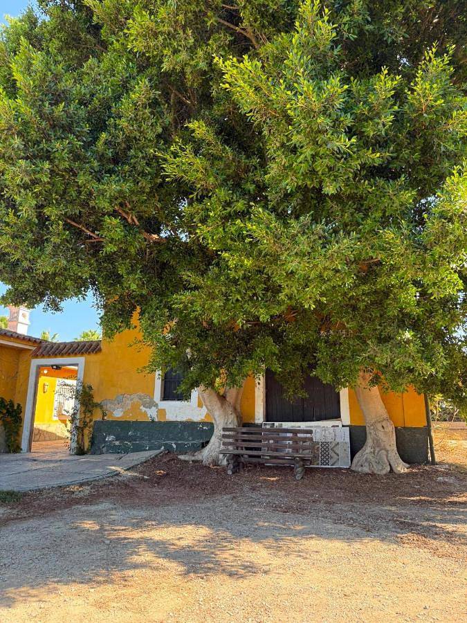 Casa rural para 14 personas, con Terraza además de Piscina y Vistas en Sanlúcar de Barrameda - 3