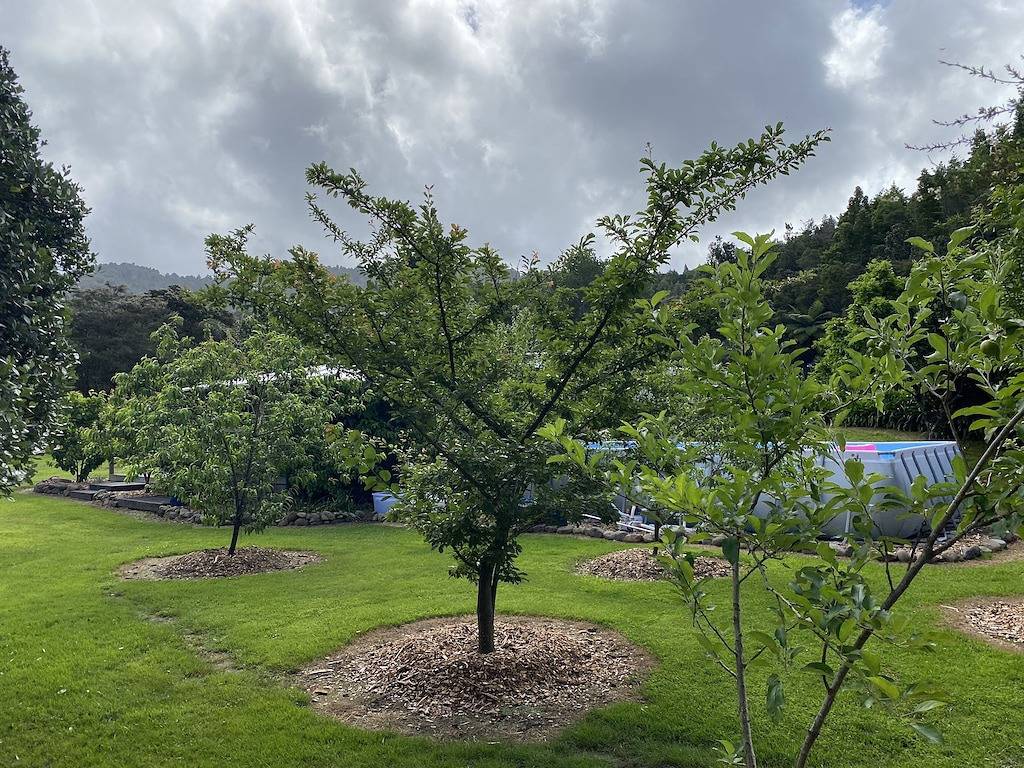 Tiny Studio - Near New in Waikato