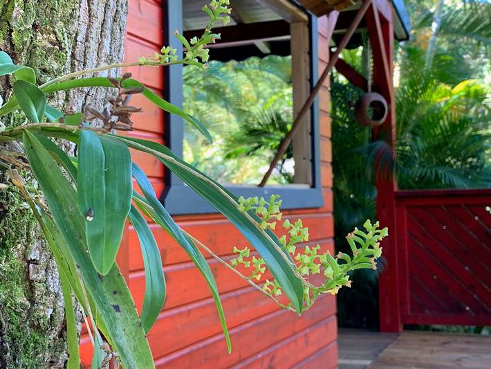 Bungalow pour 2 personnes, avec jardin