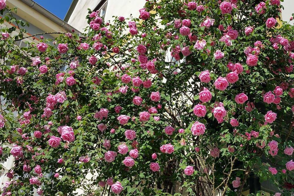 Ganze Wohnung, Gemütliche 4-Sterne Ferienwohnung mit Himmelbett. Zentral und trotzdem ruhig. in Bad Langensalza, Unstrut-Hainich-Kreis