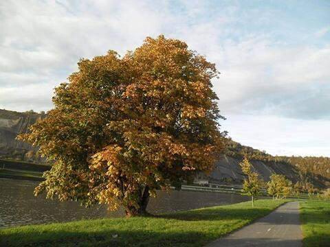 Two-Bedroom House in Givet (homonymie), Parc naturel régional des Ardennes