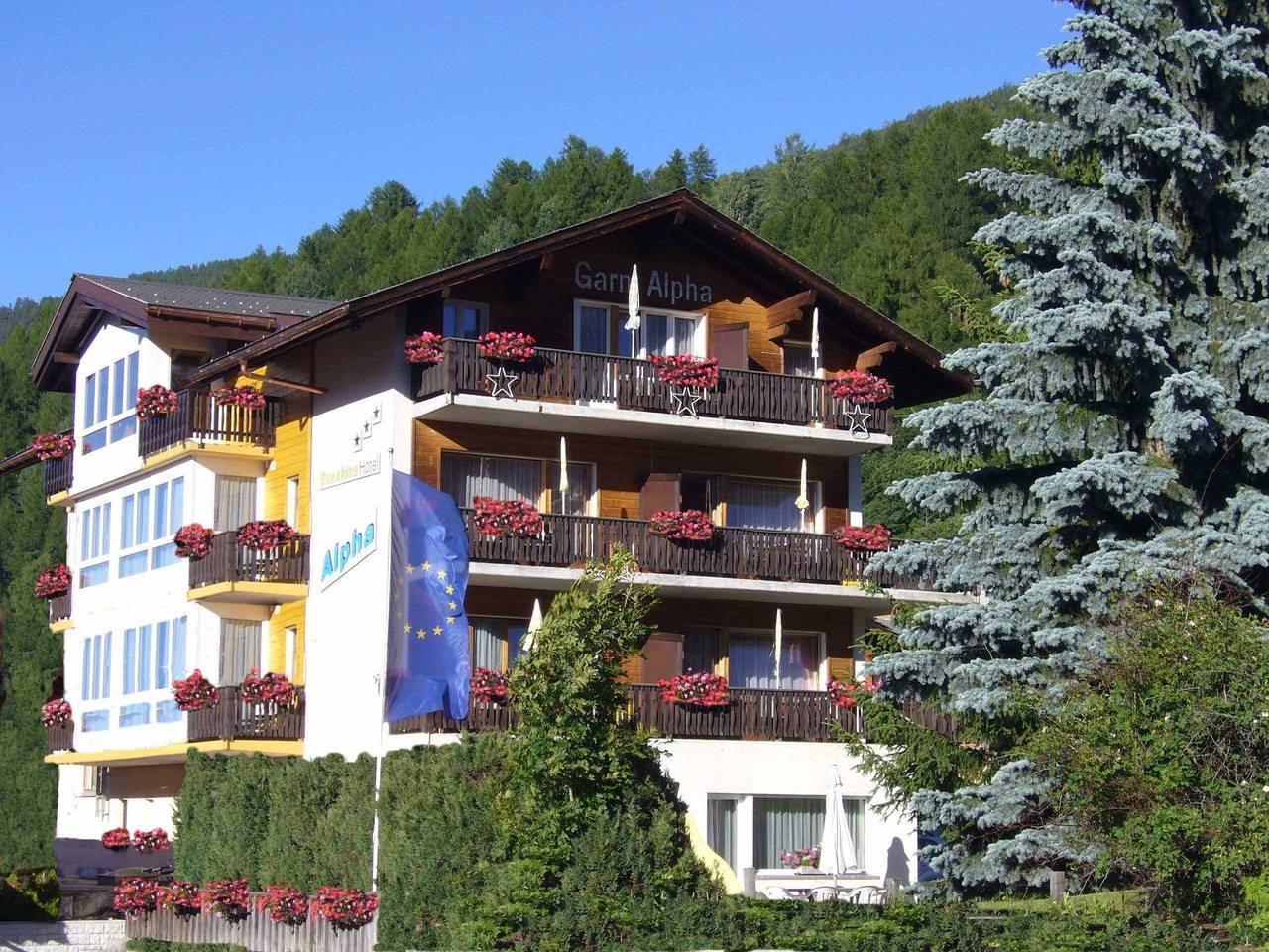 Ganze Ferienwohnung, Alpha - 4  Zimmer Wohnung mit 6 Betten in Grächen, Walliser Alpen