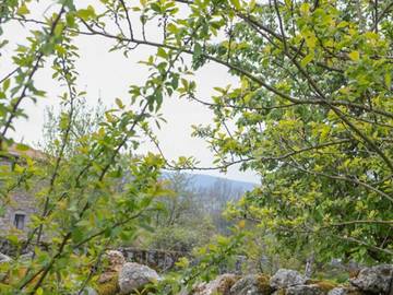 Gîte pour 2 Personnes dans Vêtre-sur-Anzon, Massif central, Photo 4