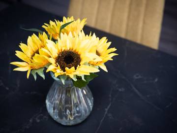 Holiday Rental for 4 People in Lossiemouth, Moray, Photo 3