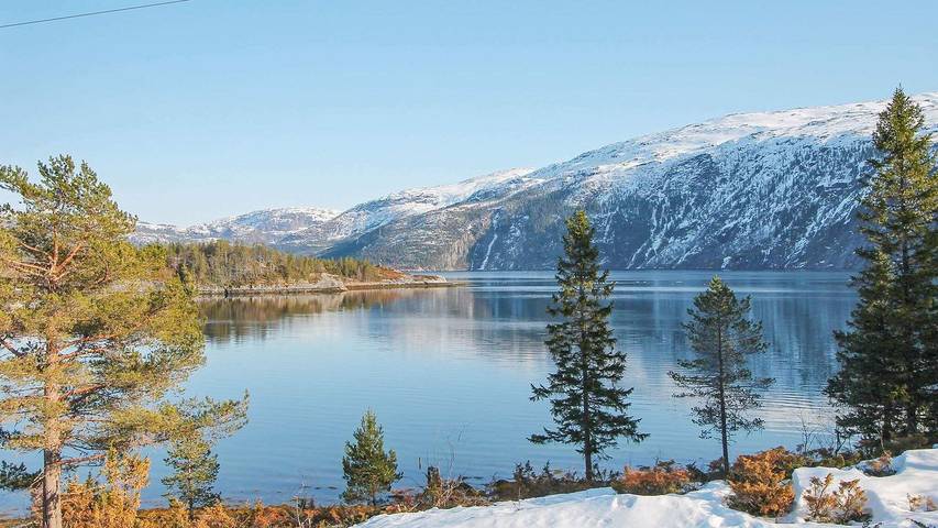 Ferienhaus für 5 Personen, mit Terrasse, mit Haustier in Tröndelag - 4
