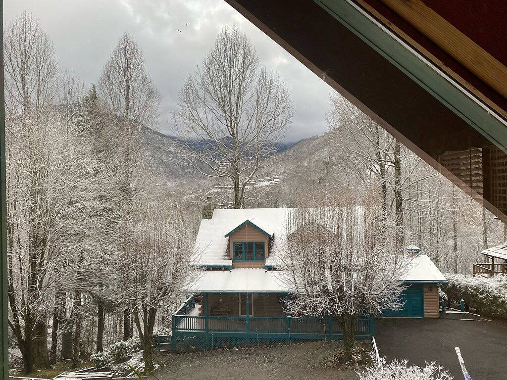 Decorated Christmas log cabin with mountain View, Hot Tub, Pool Table, sleeps 10 in Blue Ridge Parkway, Maggie Valley