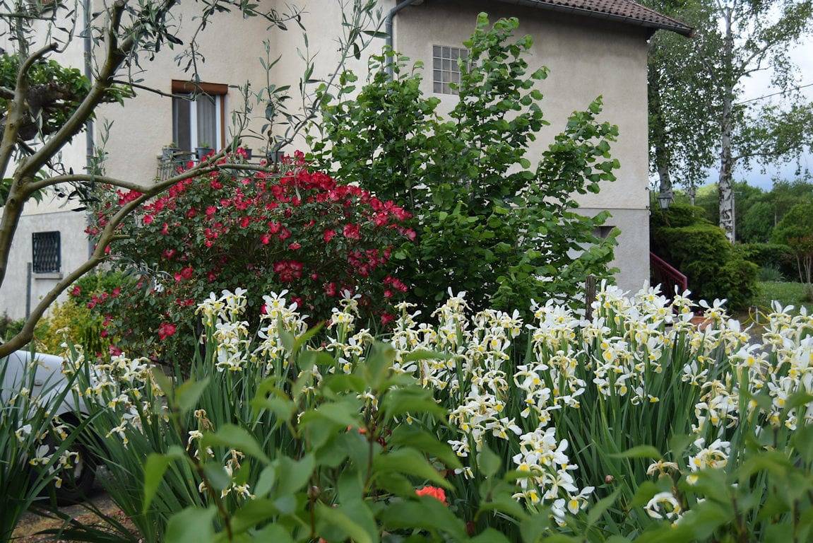 Le Nid de l'Ecureuil - Chambre Authentique in Brens, Région d'Albi