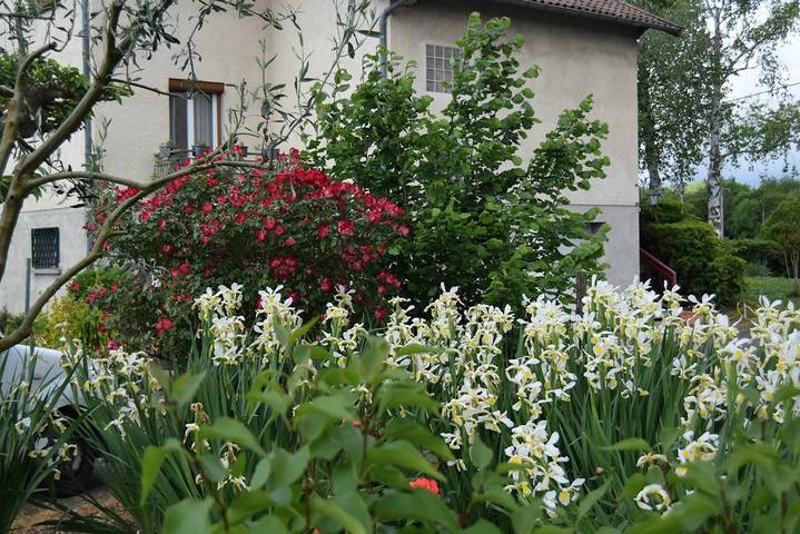 Location de vacances pour 2 personnes, avec jardin dans le Tarn - 3