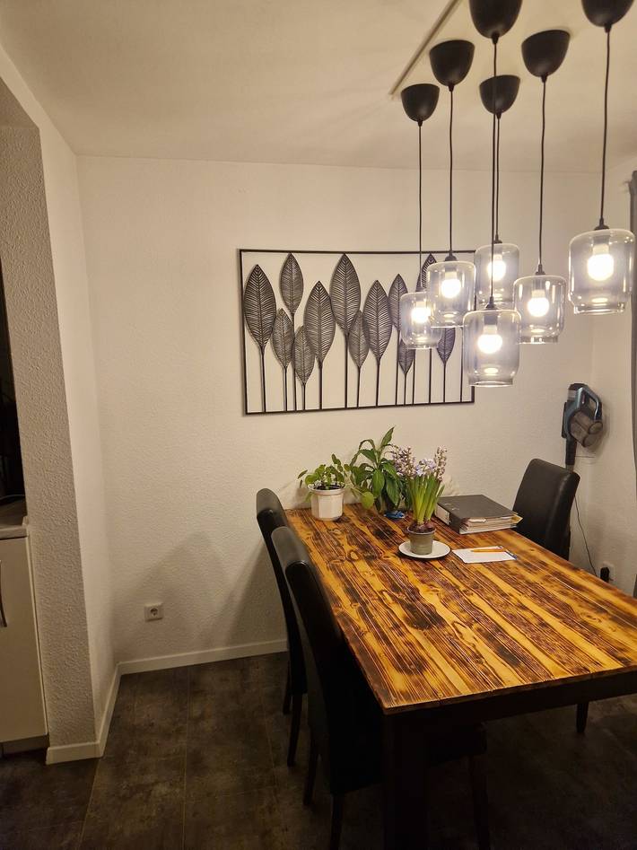 Ferienhaus für 6 Personen, mit Whirlpool und Sauna sowie Garten, mit Haustier am Steinhuder Meer - 4