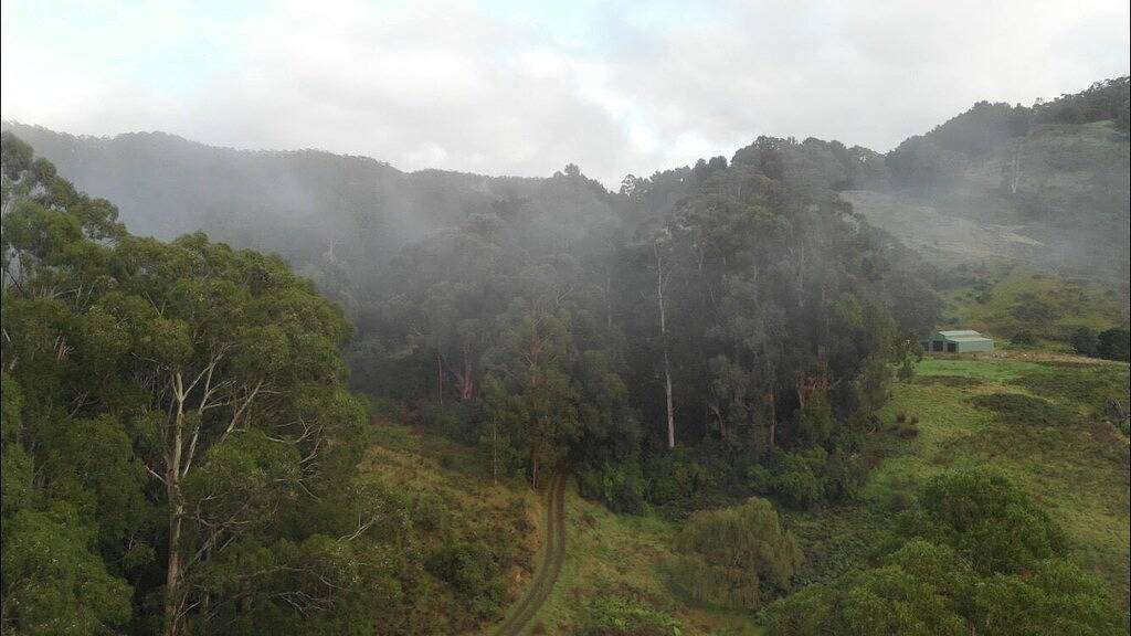 Eagle Ridge - Zeitgenössisch, stilvoll, geräumig und großartig in Skenes Creek, Colac Otway Shire