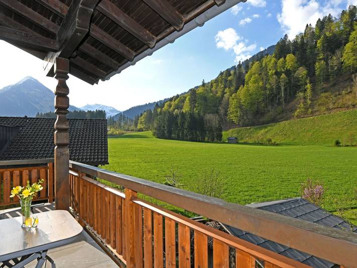 Ganze Ferienwohnung, Haus Diedamsblick - Ferienwohnung Wald in Bregenzerwald (Vorarlberg), Au