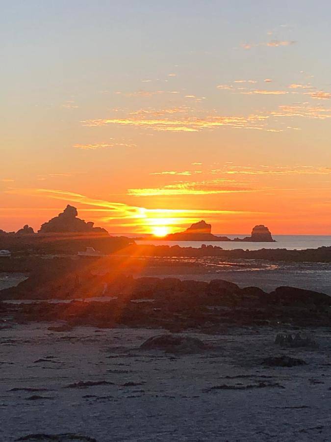 Chambre d’hôte pour 2 personnes à Santec - 4