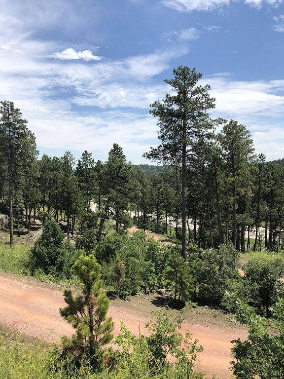 Big Mountain Cabins - Ein modernes rustikales Erlebnis - Neu in 2018, für 2 bis 6 Personen in Black Hills