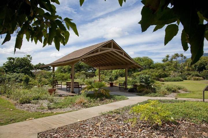Vacation rental for 4 people, with pool, with pets on Maui