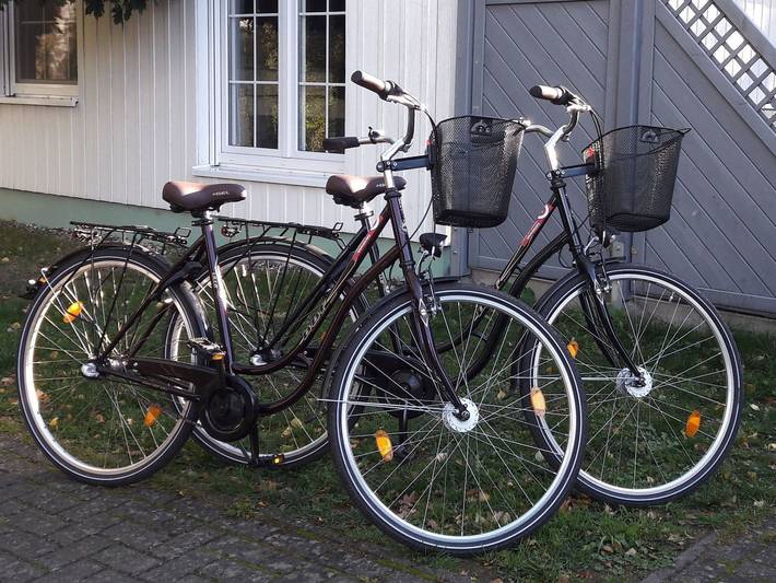 Ferienpark für 5 Personen, mit Garten und Terrasse, mit Haustier in Zinnowitz - 4