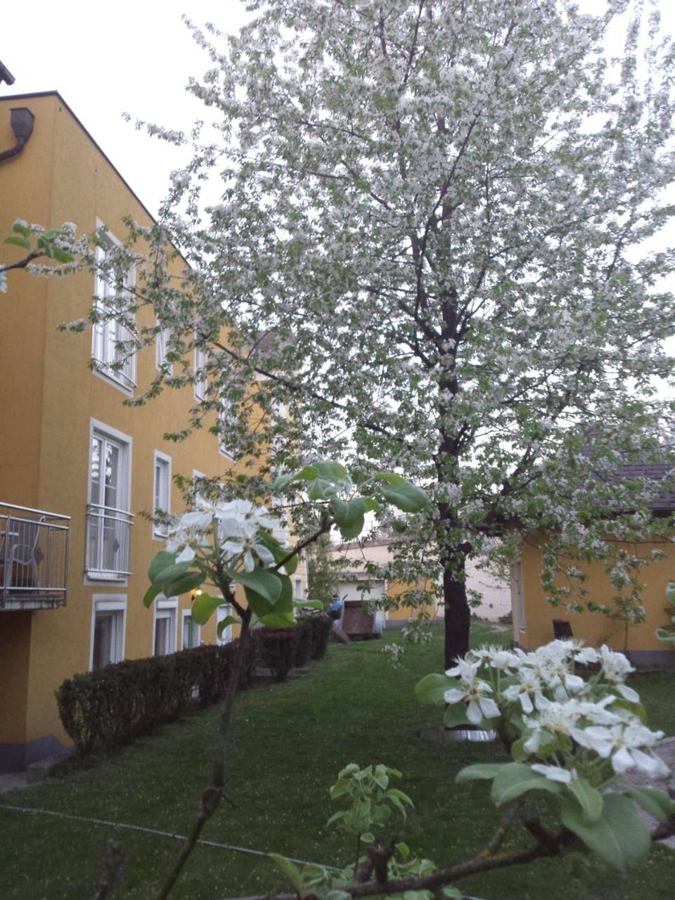 Pension Elisabeth in St. Pölten, Mostviertel Region