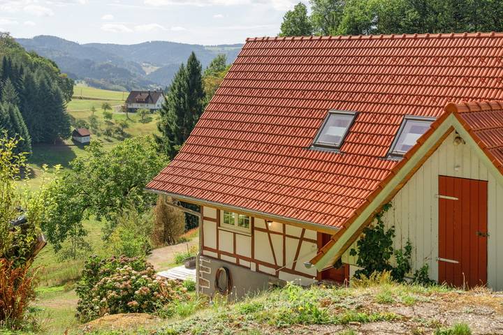 Ganze Wohnung, Ferienwohnung 'Eulennest' in traumhafter Lage in Seebach (Ortenaukreis), Achertal