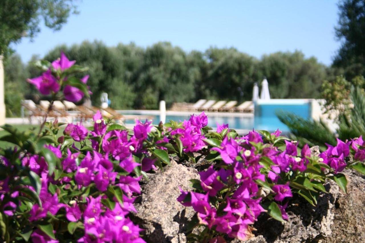 Tenuta Monacelli Lecce in Lecce, Provincia di Lecce