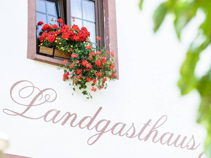 Landgasthaus-Hotel Maien - Einzelzimmer mit Dusche und Wc in Rheinfelden, Floresta Negra do Sul