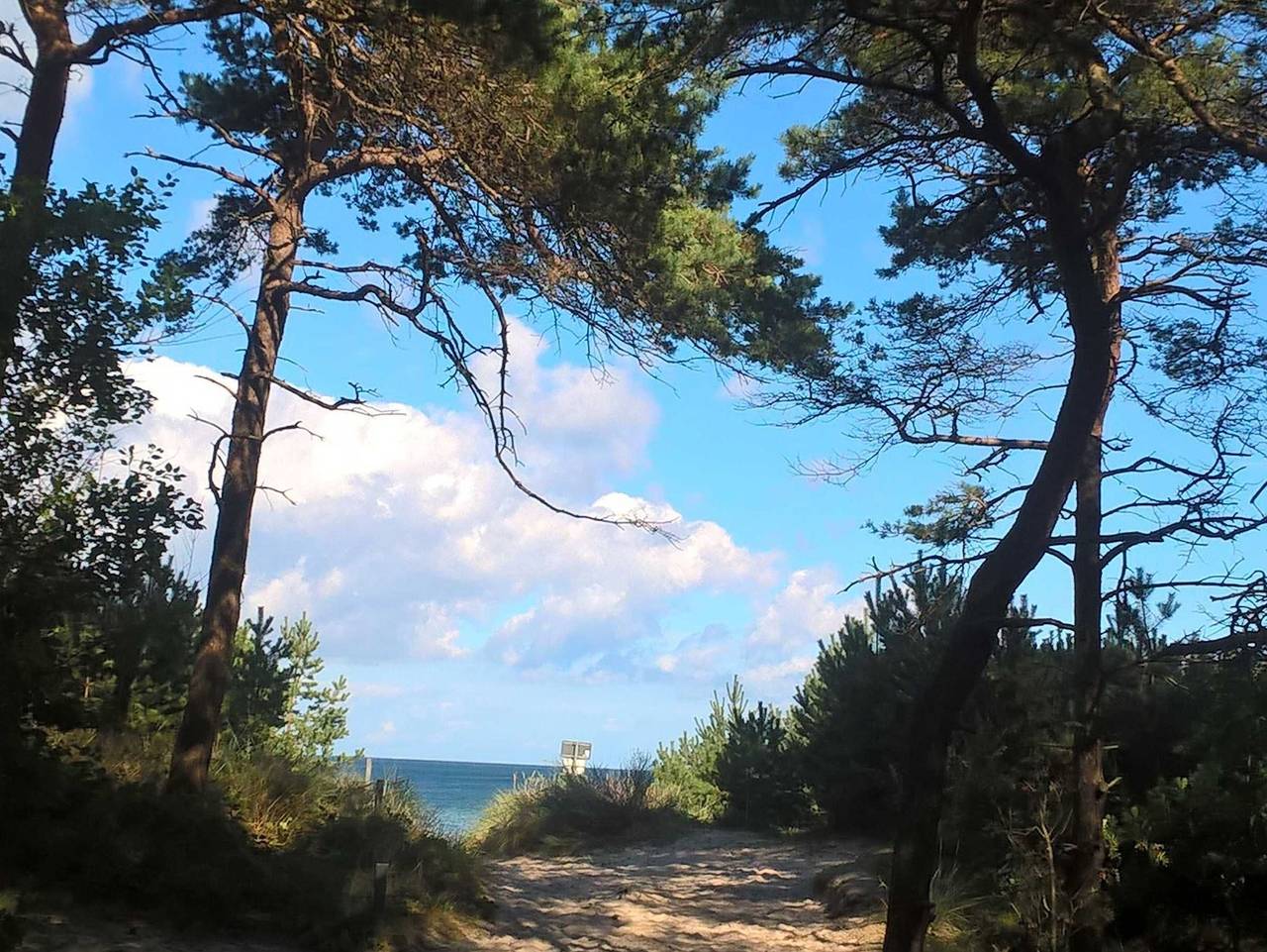 Ganze Ferienwohnung, Ferienwohnung Leonie in Hagen Auf Rügen, Lohme